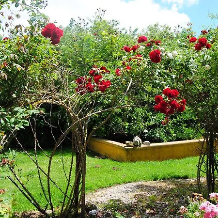 Guest house Margarida's Place 3*