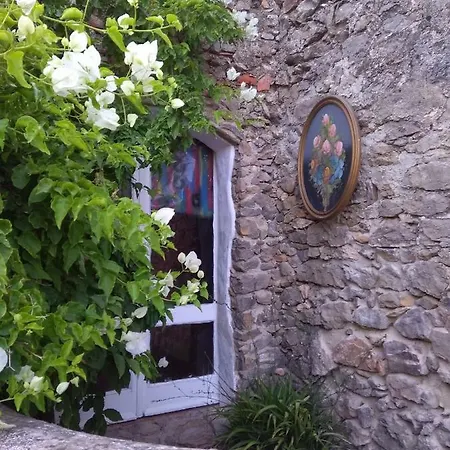 Margarida's Place