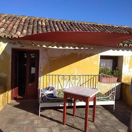 Margarida's Place 3* 마프라